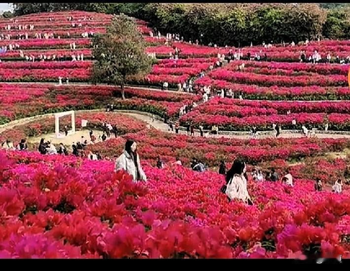 一个拍视频做自媒体的外卖小哥，手机丢了，不知道啥时候掉出去了。正好碰到一个环卫