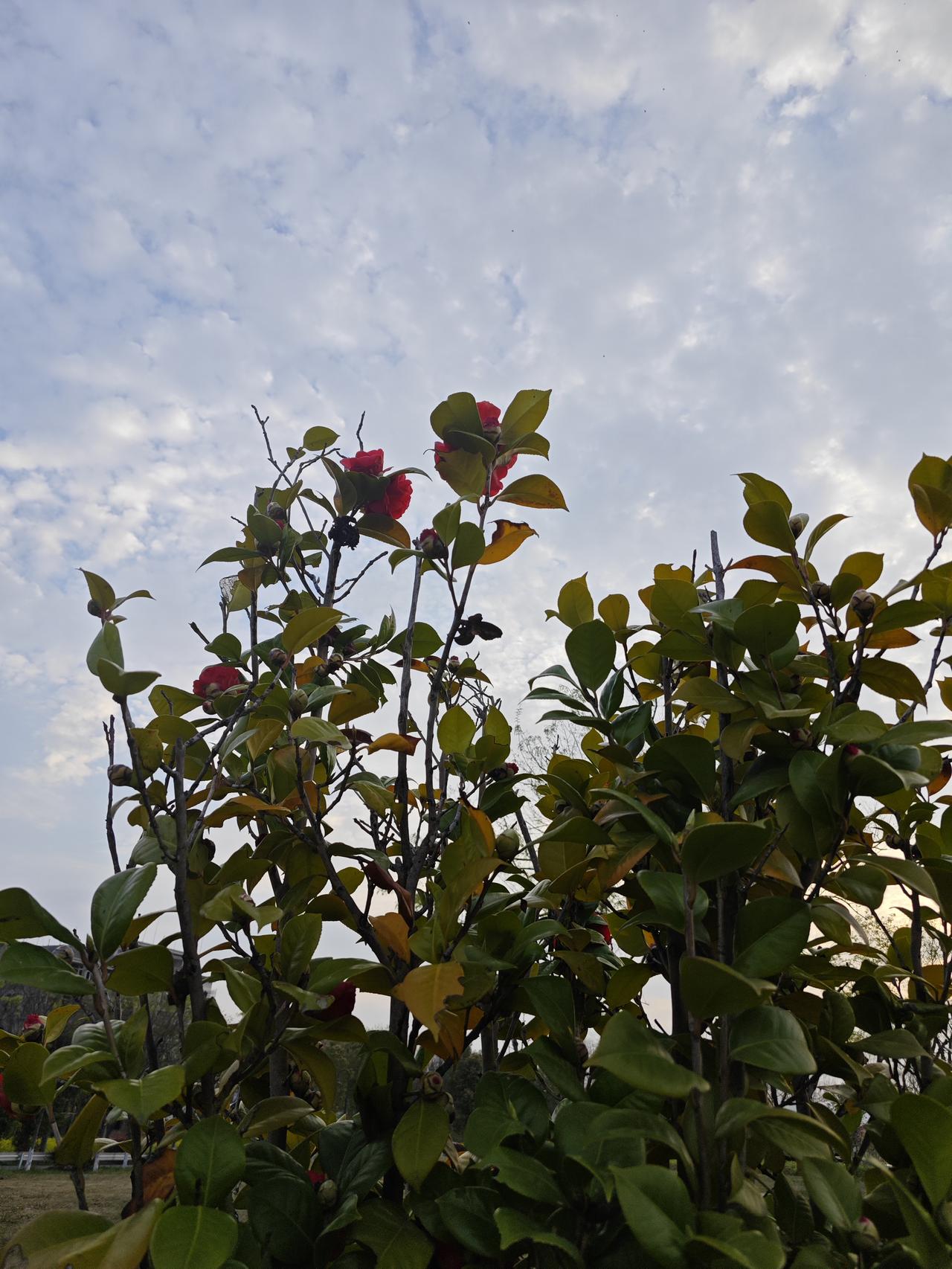 顶级养生，根本不是花钱买补品！最牛的养生全免费，就仨字儿：别作，常动，心宽。