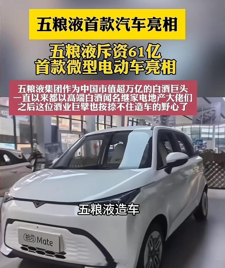 五粮液造车造车有那么赚钱吗？都在抢造车的蛋糕，到底是不是为了吃国补的蛋糕？​