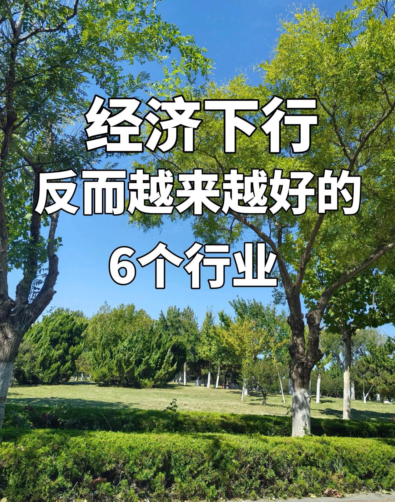 经济下行，反而越来越好的6个行业大环境不好，并不是所有行业都难做。今天分享