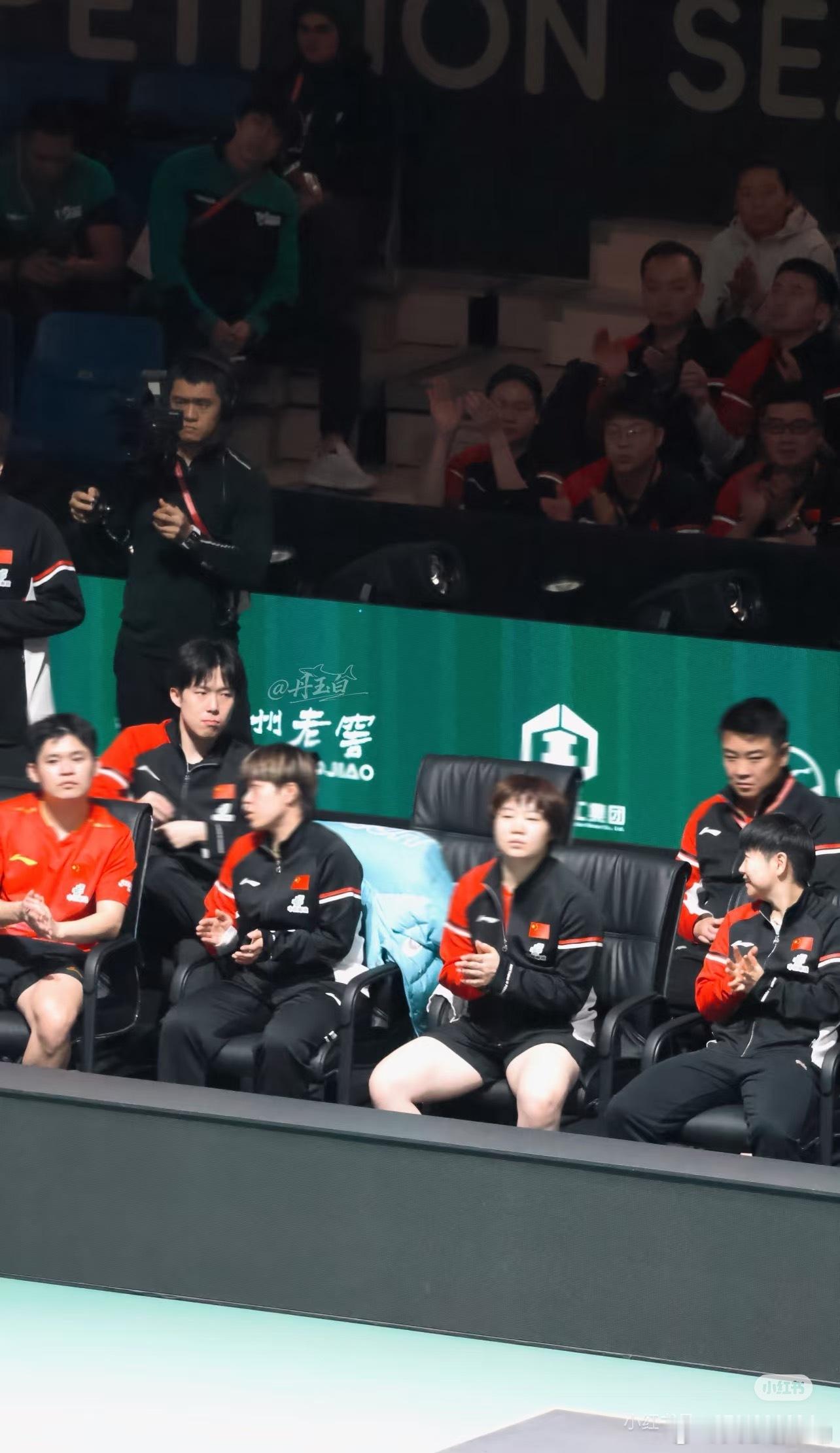 又怎么了我的大小姐