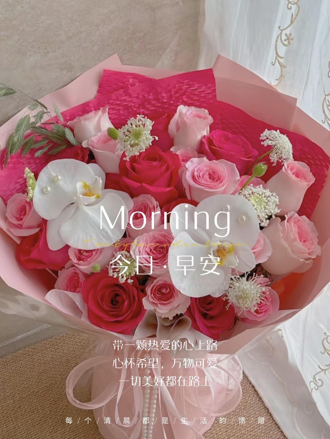 ²⁰²⁶ᵕ̈早安暖心语录|温柔且有力量🌷每个人都有自己的光芒，不必