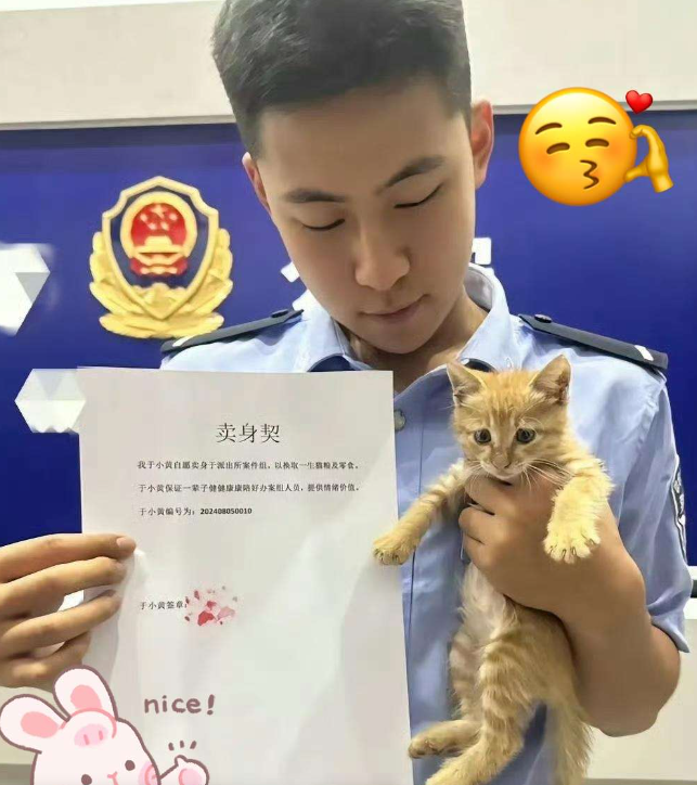 猫咪：我说我是被强迫的，你们信吗？