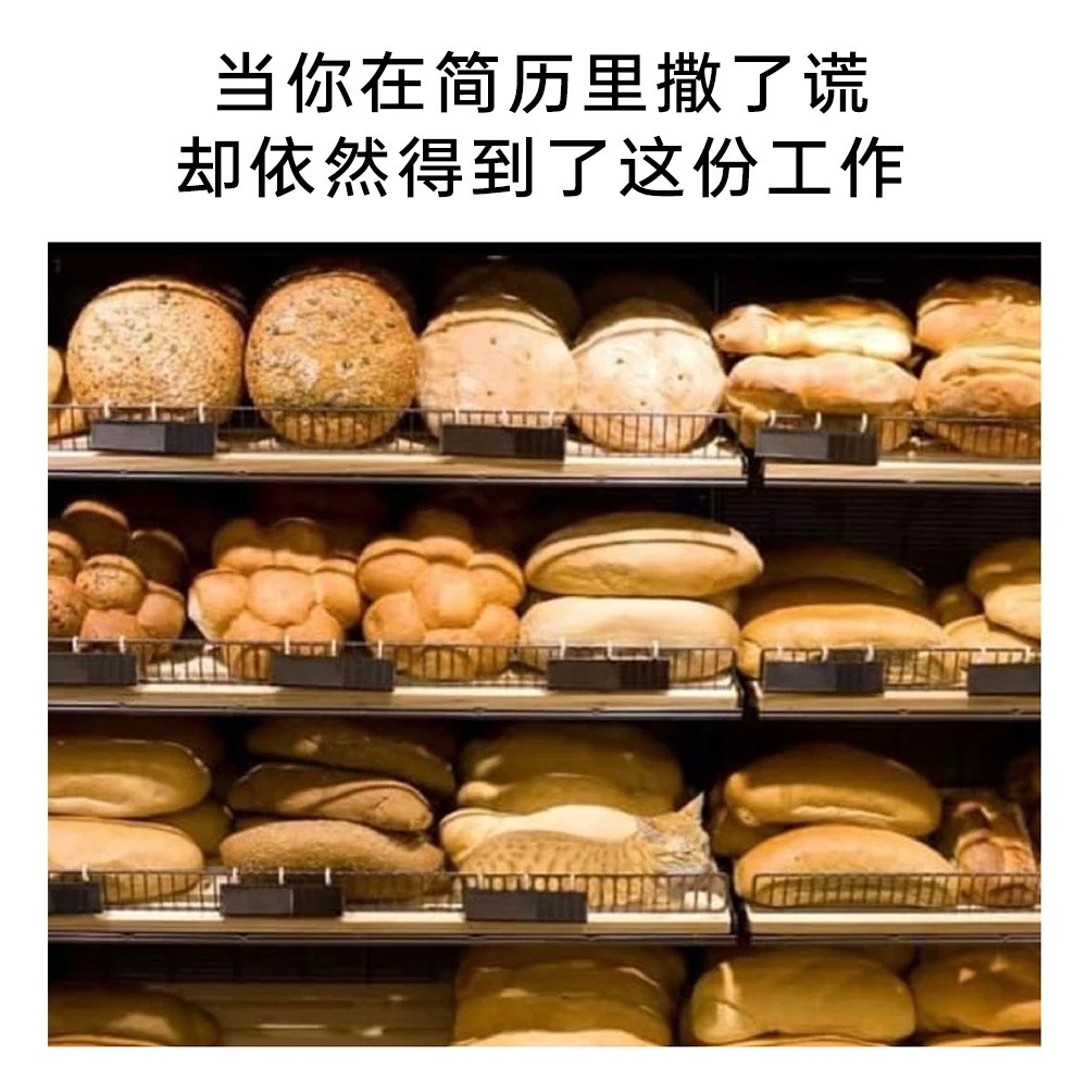 试图混入其中猫meme​​​