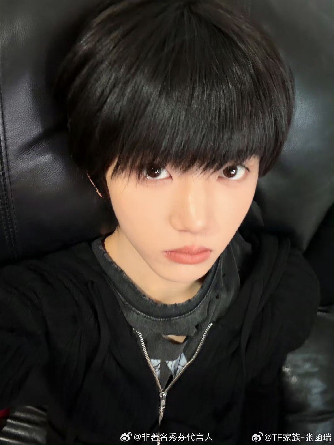 张函瑞拜拜了大蘑菇头完全是小猫来着