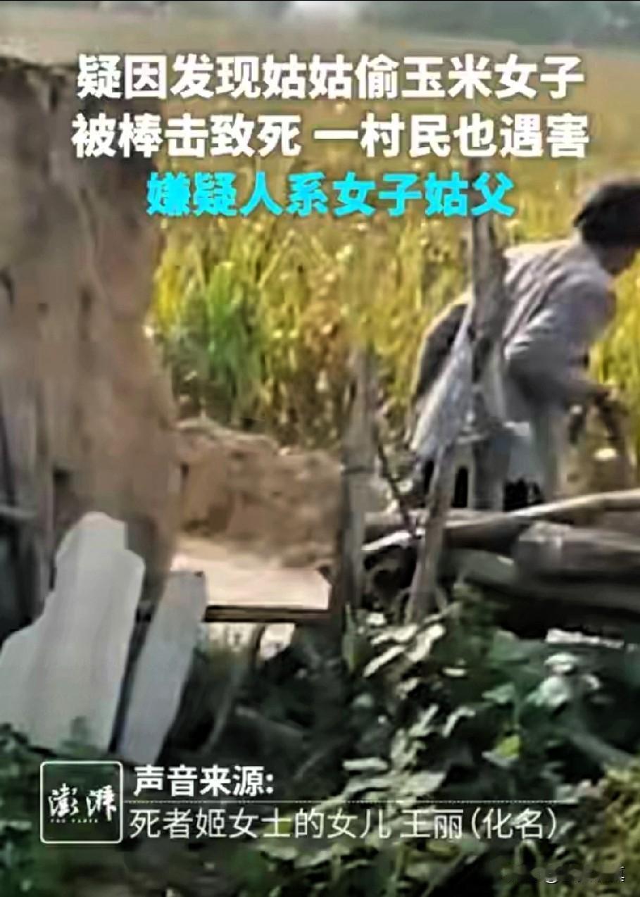 一块玉米地，两条人命案，侄女撞见亲姑好事，被姑父当场杀害，金黄的玉米地本是