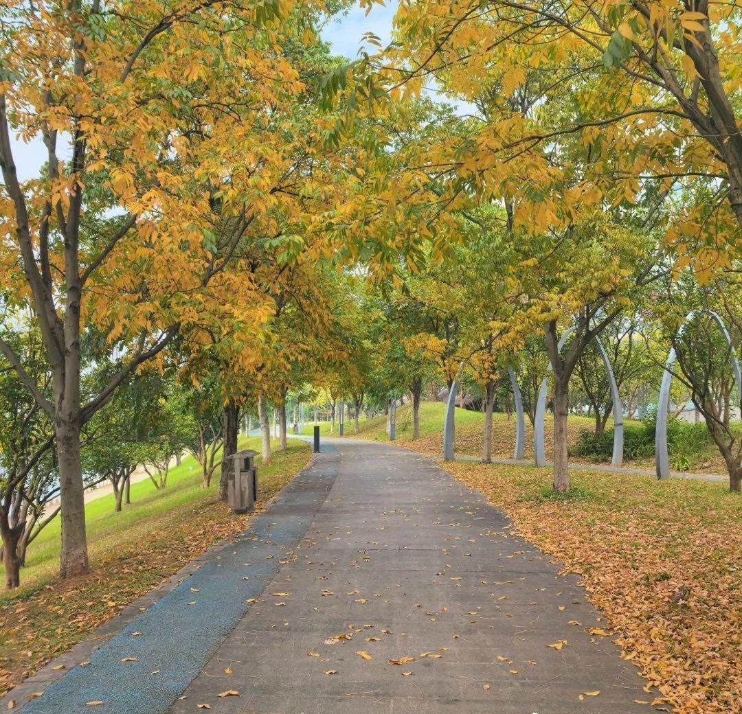 长沙新手骑行宝藏线｜狮峰山20KM森林环线，全程治愈不费腿环江骑腻了总想找新风