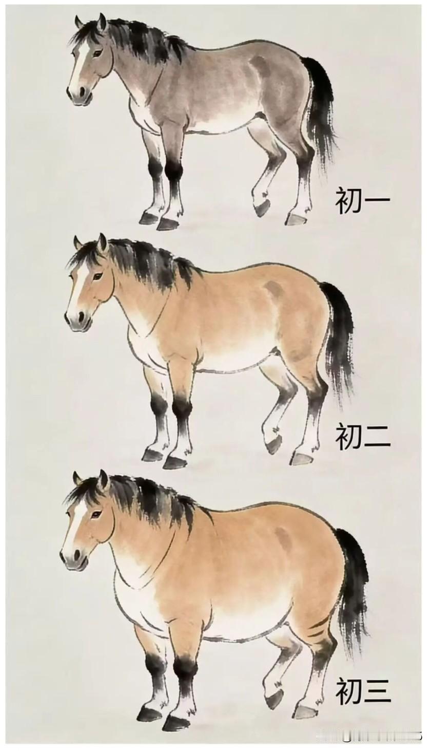 春节期间的“牛马”们；猜对你的那一份了吗？