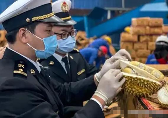 “赚中国人钱还毒害中国人？可谁能料到，泰国榴莲这事越挖越吓人，这泰国榴莲里竟藏着