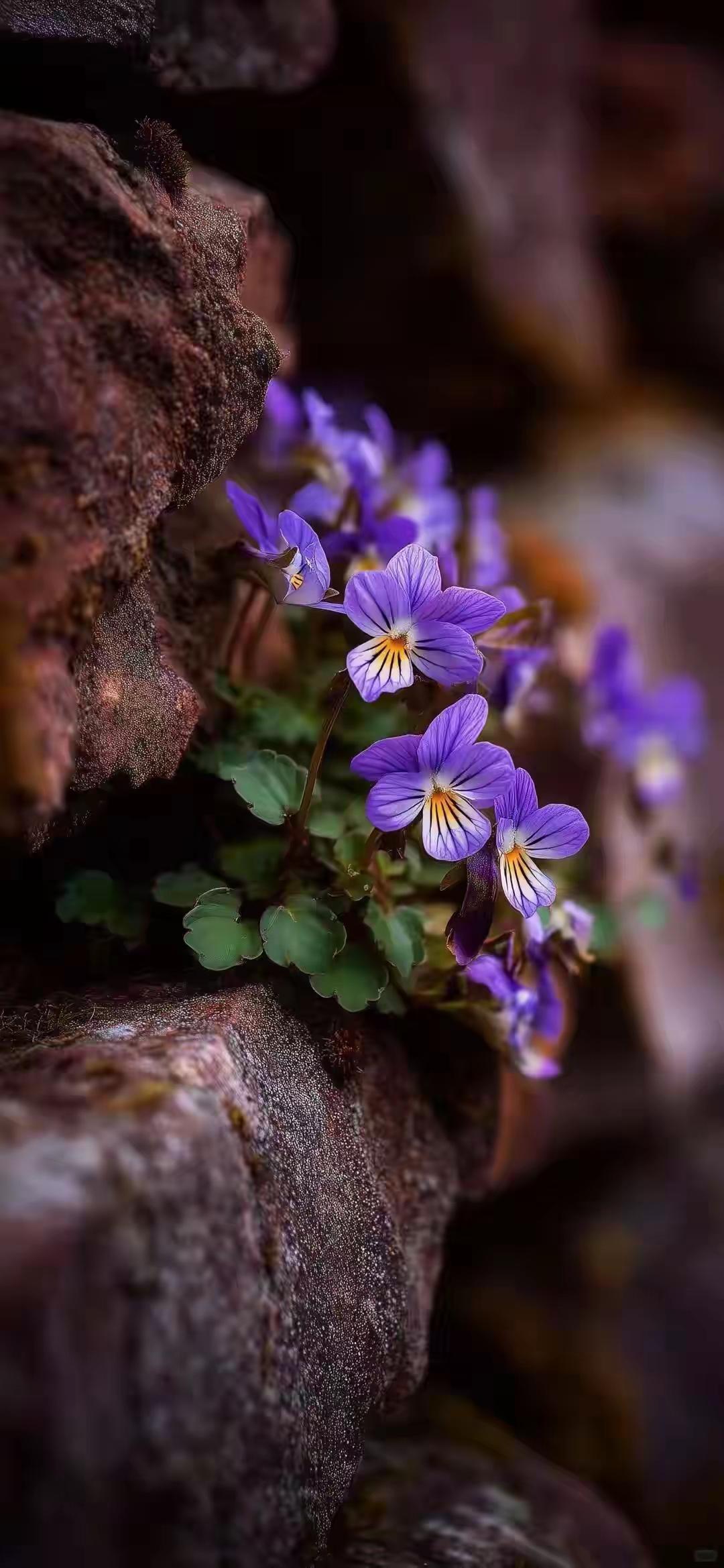 一位著名律师说:警察突然要带走你的家人，千万别慌，更别稀里糊涂就乱签字。一定要