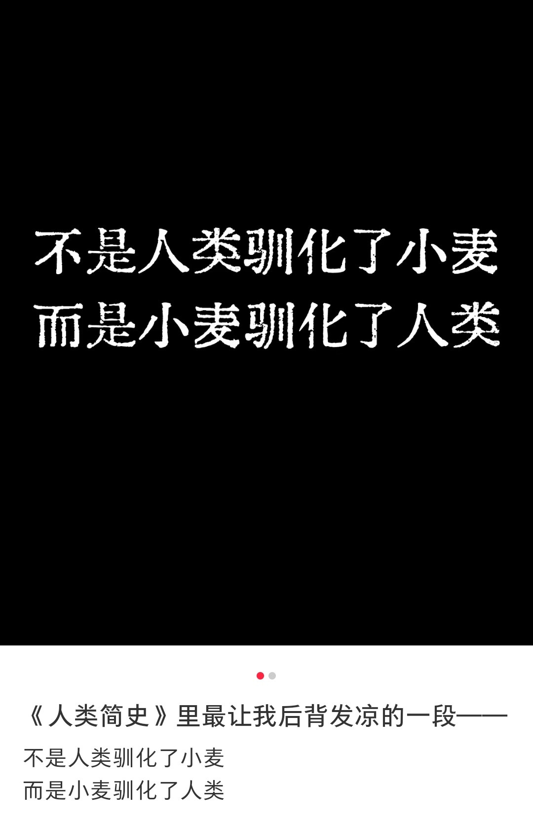 是小麦驯化了人类人类真的喜欢想太多