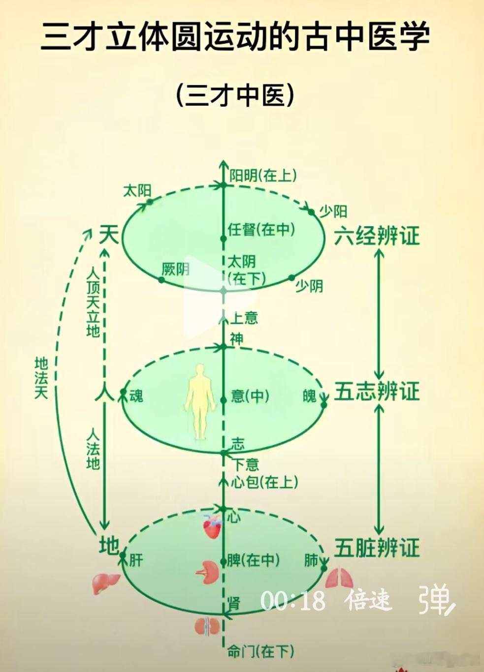 焦虑症，就是三魂七魄少了一魄！焦虑症患者往往是七魄中的“伏矢”出了问题，用一方调