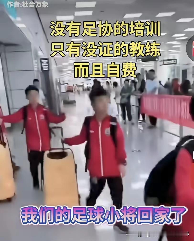 小英雄们回家了，这场接机我看哭了小英雄们回家了，你没看错，就是那群在东南亚少
