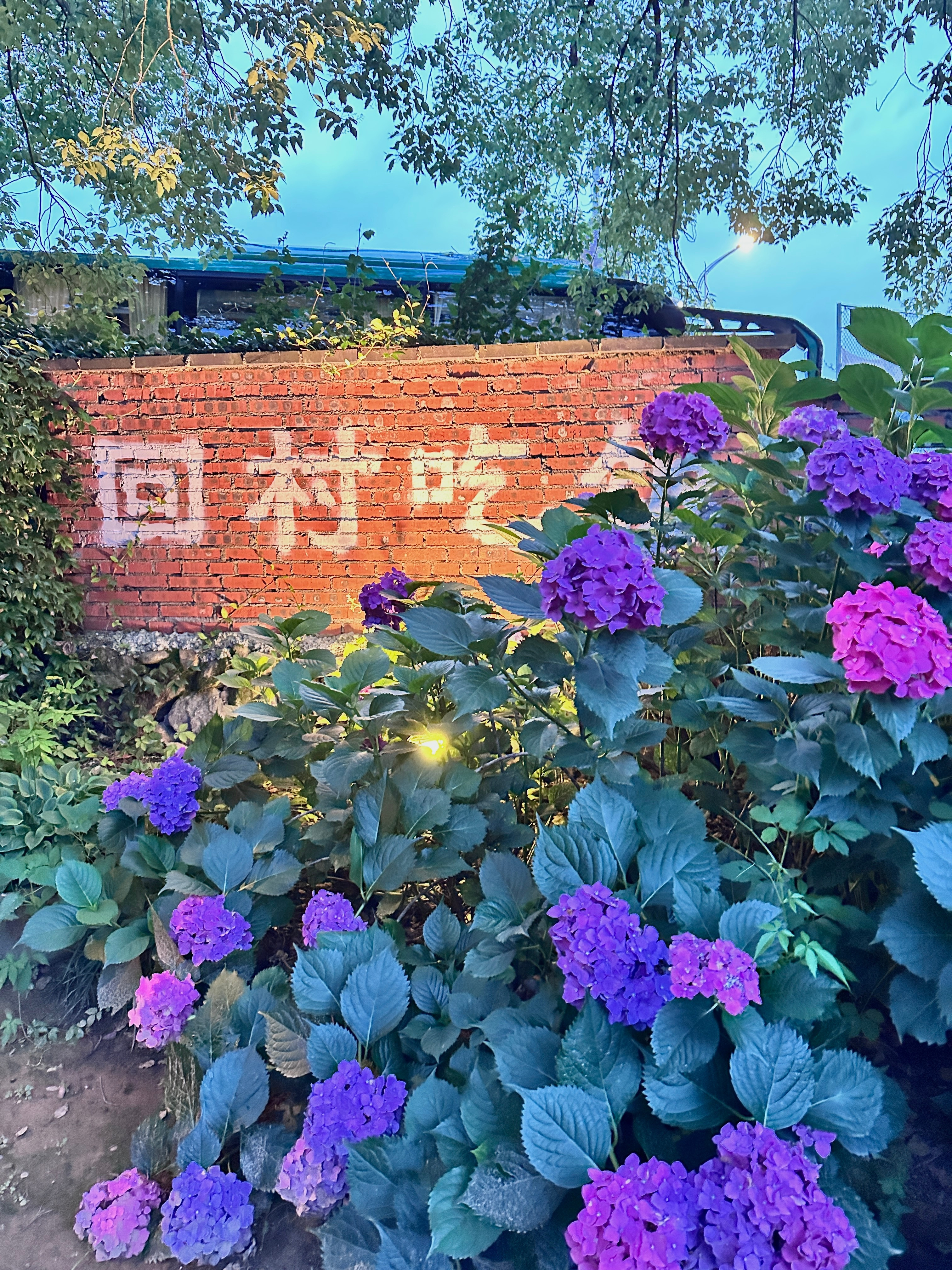 回家吃饭啦～