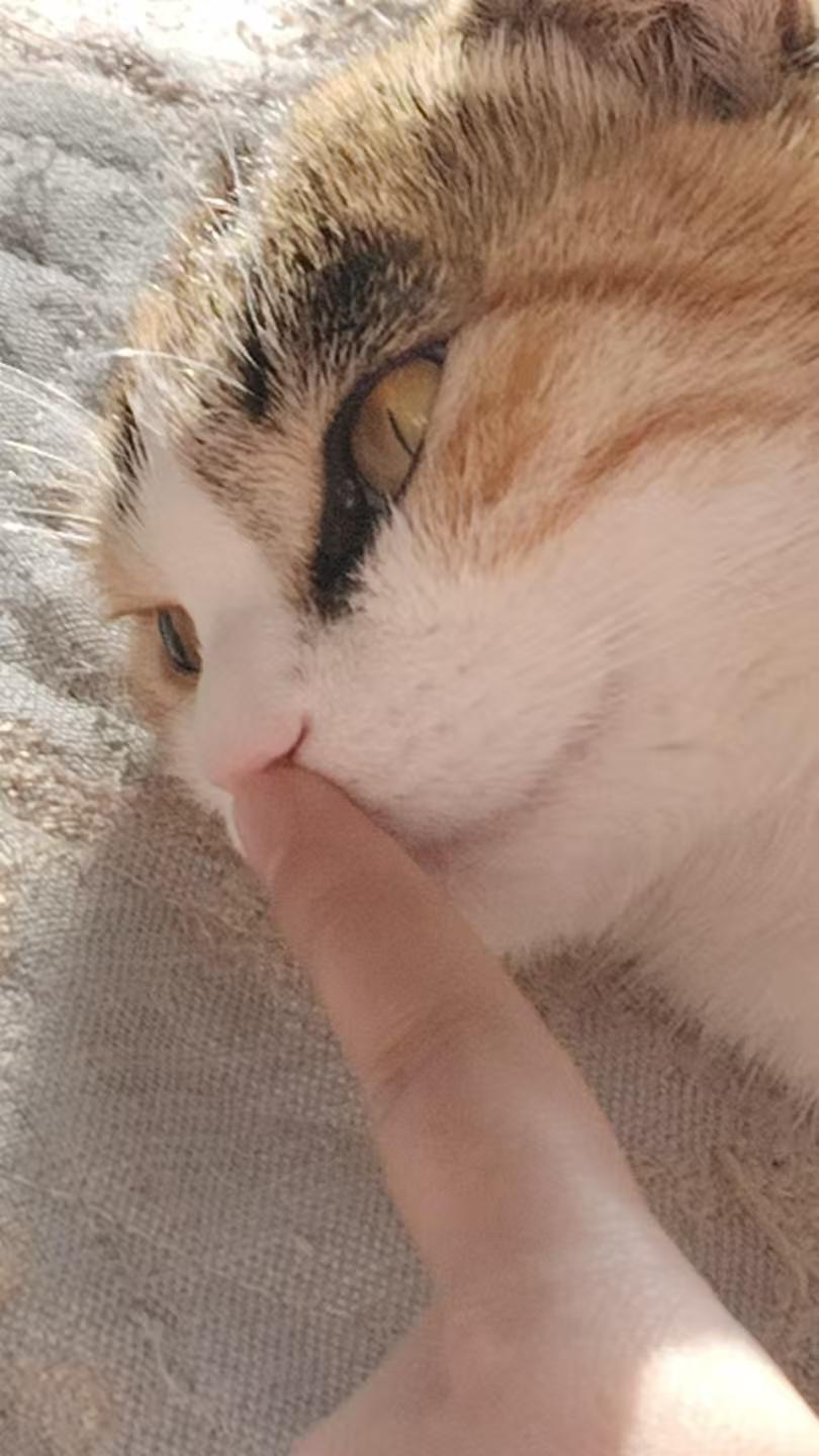 人活一辈子，金钱与健康，哪个重要