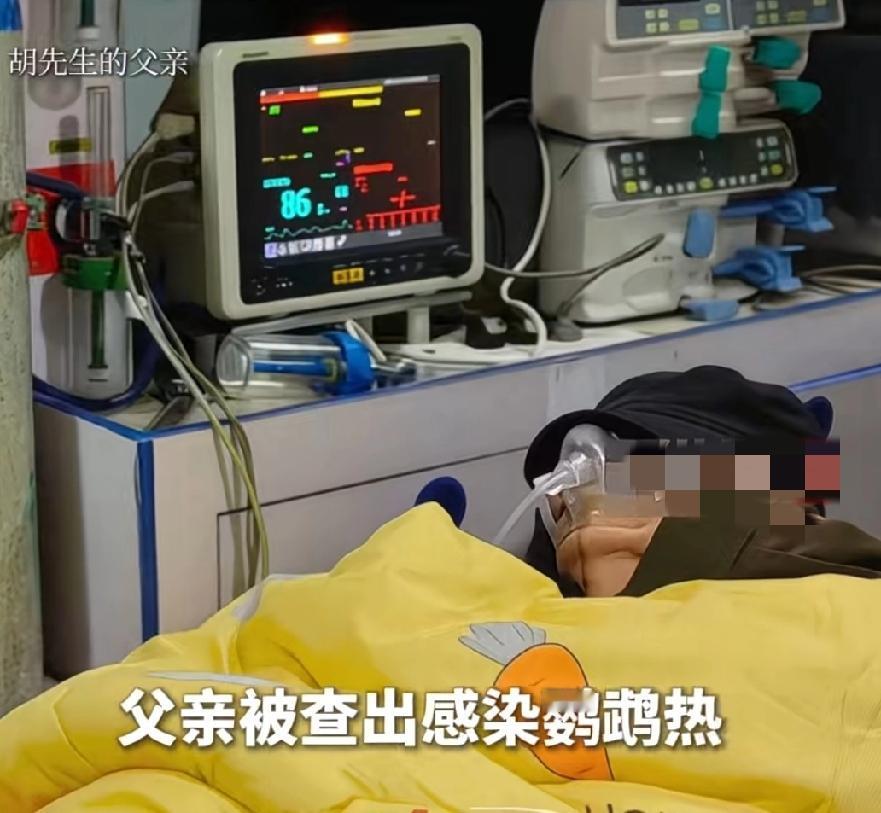 套圈的鹦鹉别随便带回家。谁能想到胡先生只是因为把在景区套圈套中的鹦鹉带回家，就