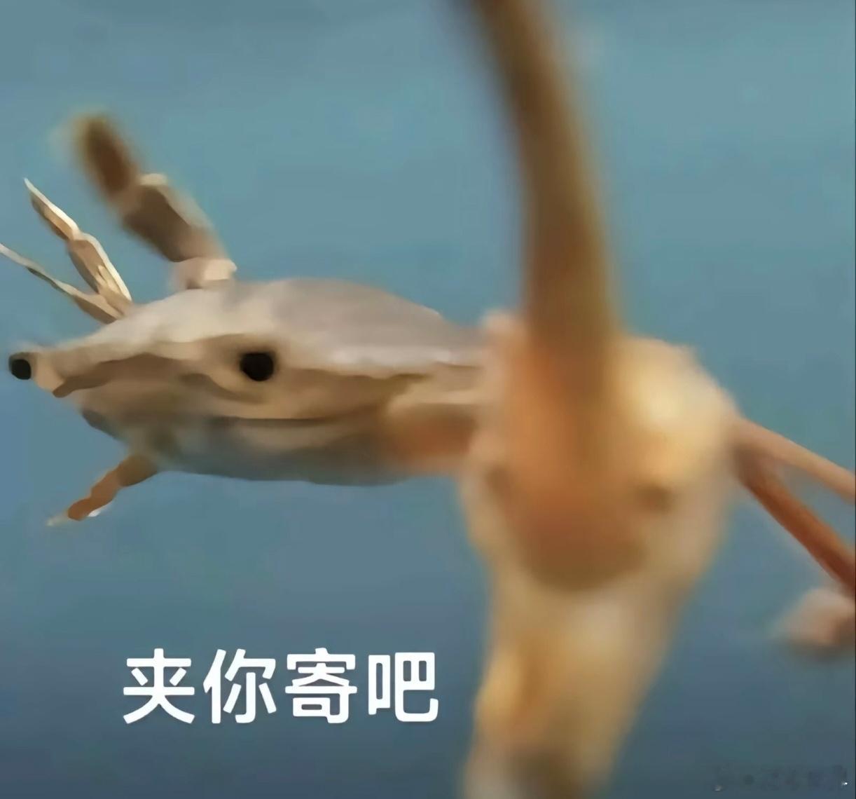 王俊杰刚换上还没摸球呢就换下了闯美的篮球青年