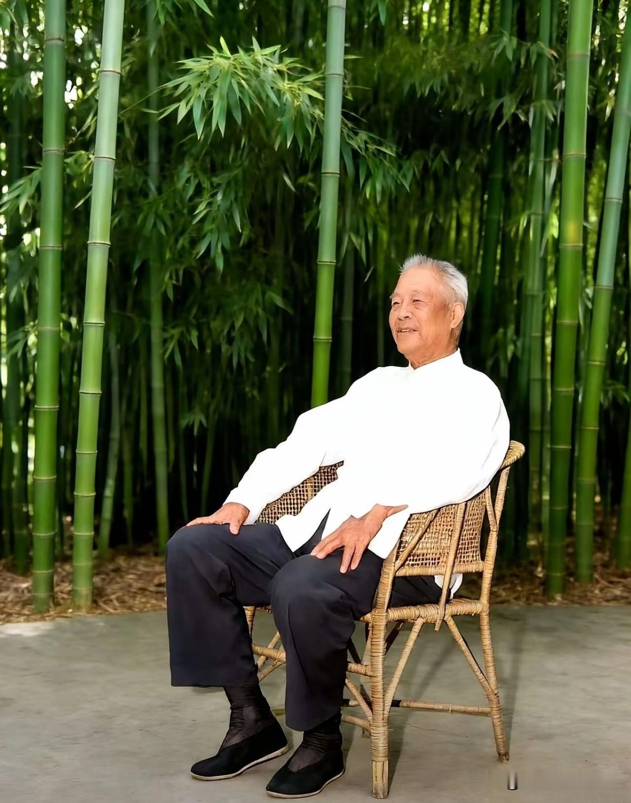 这张照片定格了晚年张宗逊上将的闲适瞬间。他身着白衫黑裤，脚蹬黑布鞋，端坐于竹林