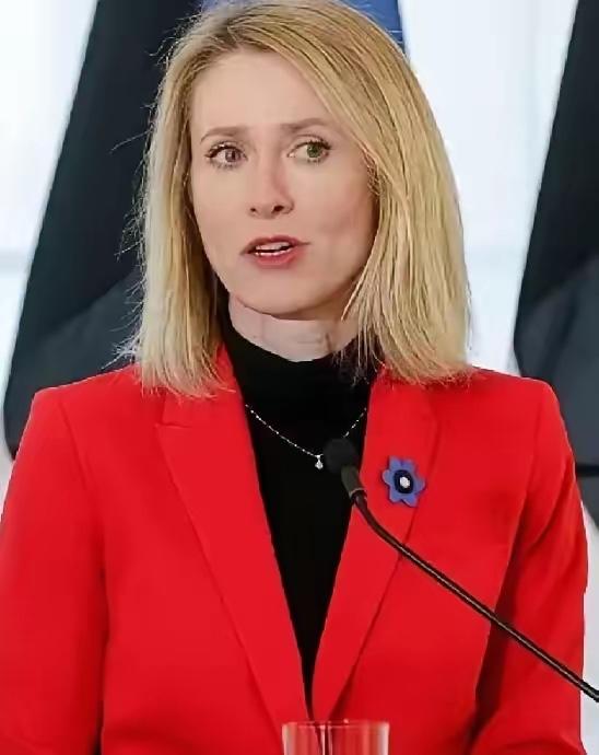 欧盟这扇门，突然焊死了！​4月27日，欧盟直接出台强硬新规，全面开始清算行动。