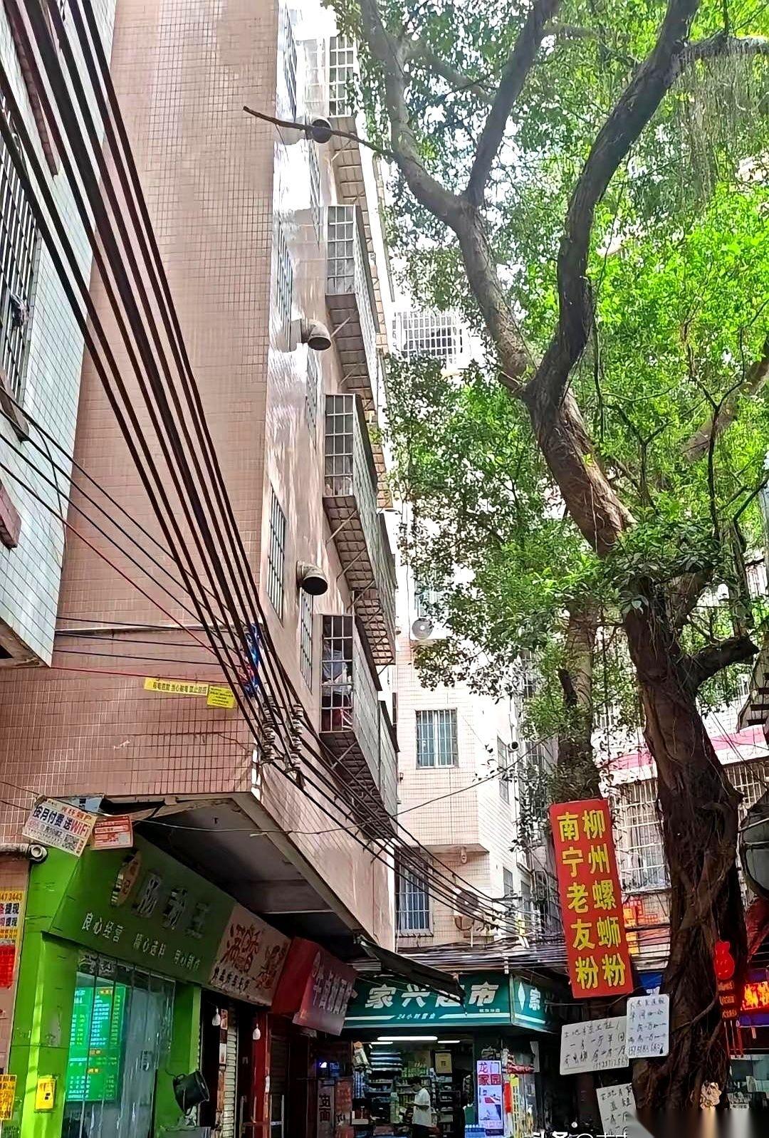 我算是想明白了，在深圳租房，最大的坑，就是别人跟你说“白石洲性价比高”。听我一