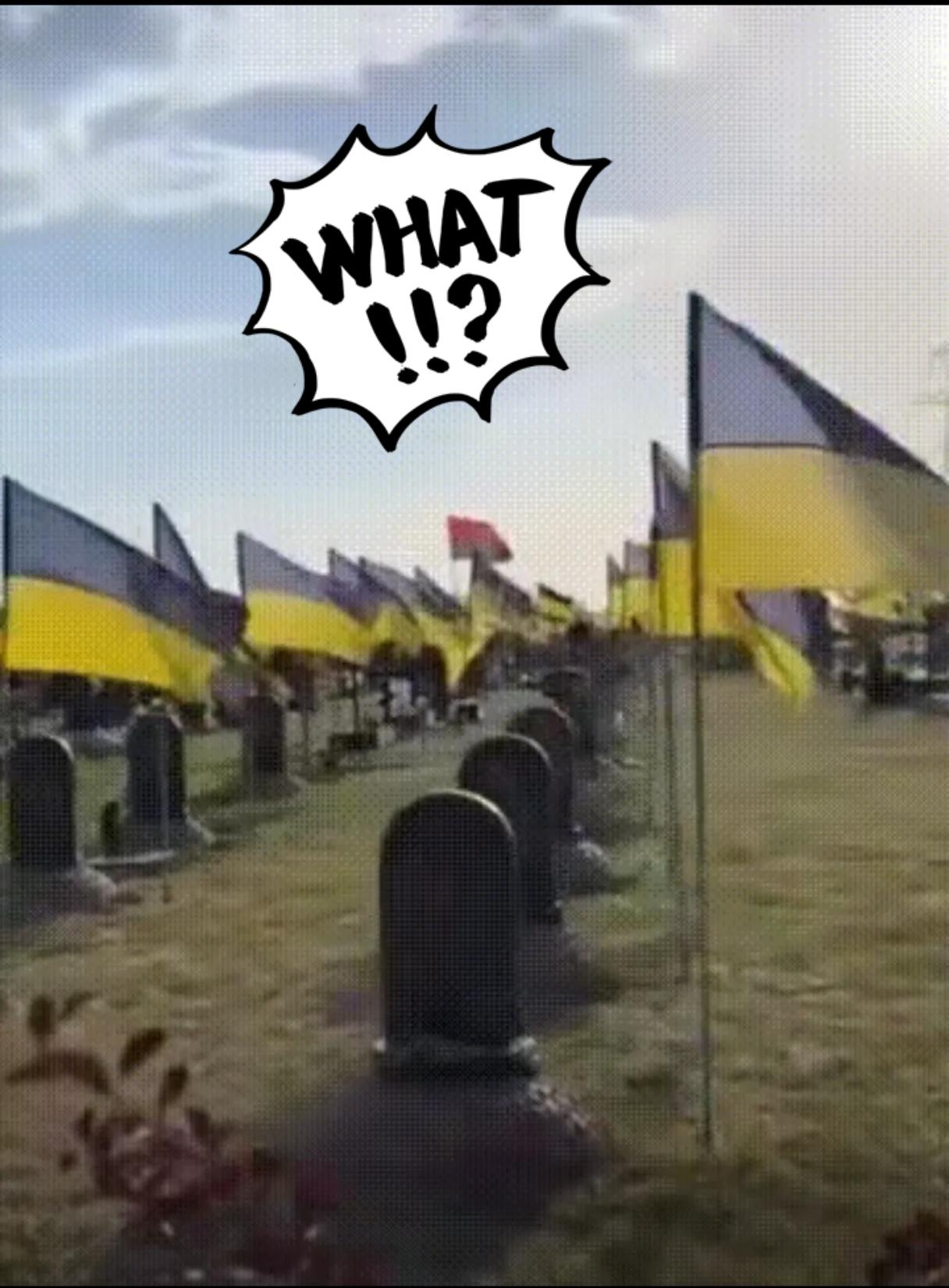 红军城战场清理战斗已经开始！乌军阵亡者中外国雇佣兵的比例远超想象！据俄媒报