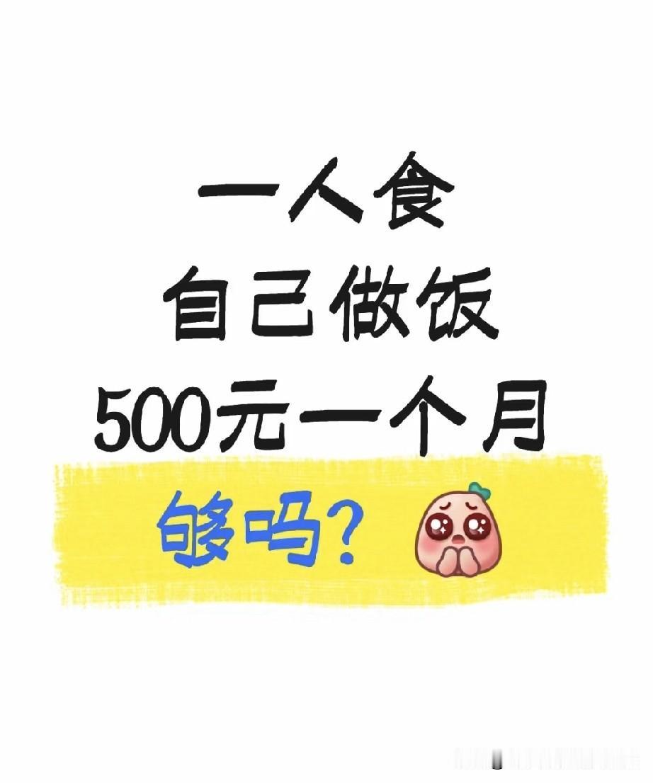一人食做饭500元一个月够吗？自己做饭，一人食，每月500元伙食费够不够造