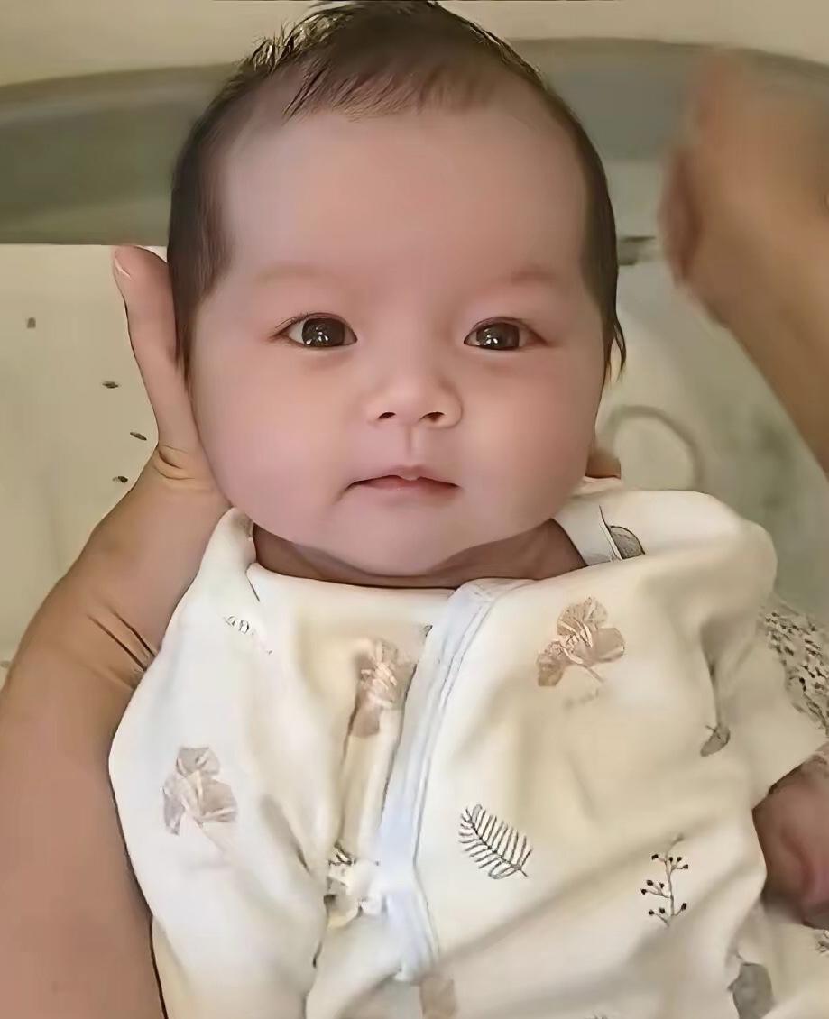 5月14号是张兰孙子箖箖的生日，这次生日他们全家都要回去，连小汪宝也要回湾