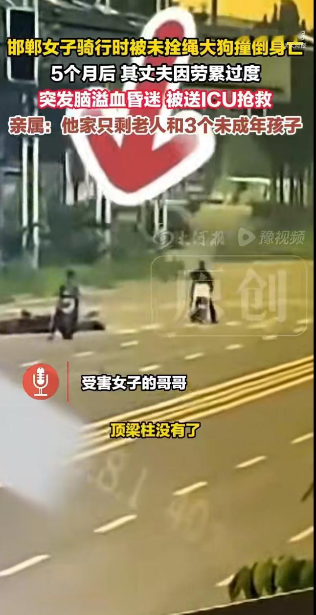 一起令人心痛的事件引发全网关注：一名女子在小区散步时被一只未拴绳的大狗撞倒，当场