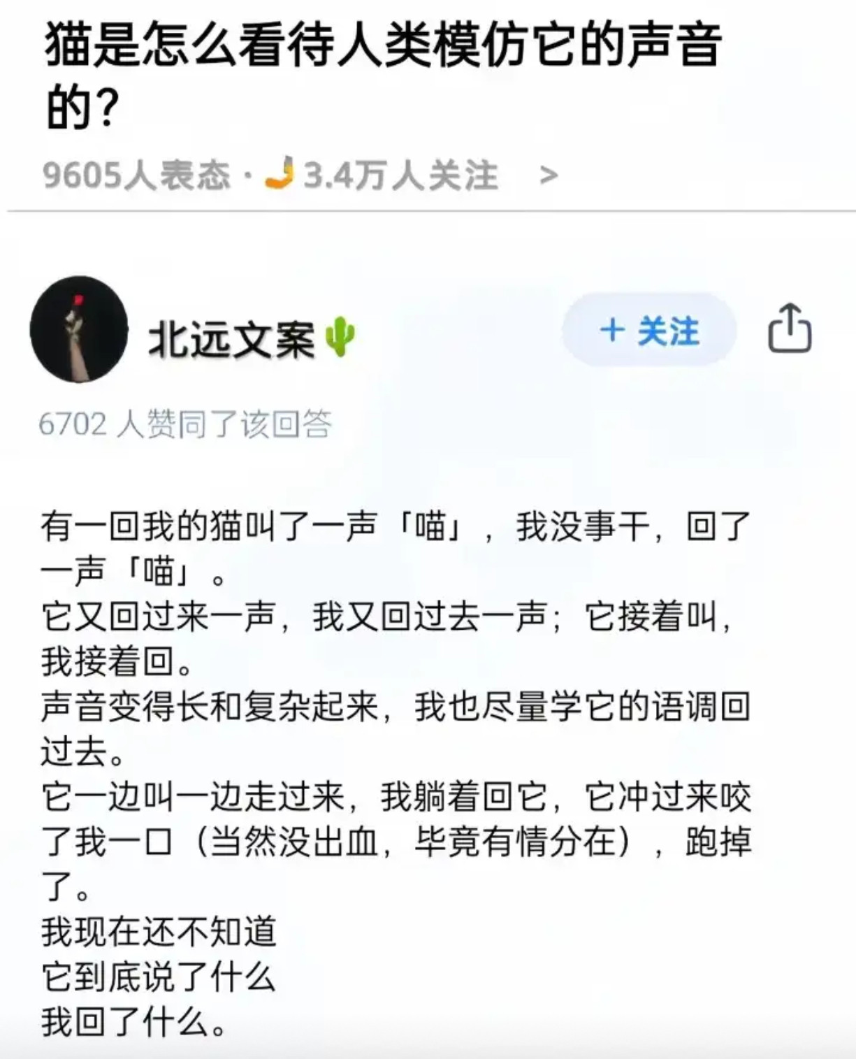 猫是如何看待人类模仿它的声音的？