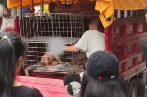 【海口铁笼关幼童父亲称不卖孩子：生了就卖不会有这么多】据看看新闻报道，日前，海