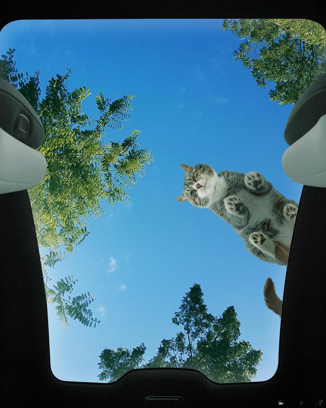 全新奔驰纯电CLA全景天窗下拍摄的这组图很有意思啊，没想到可以这个角度拍摄，学习