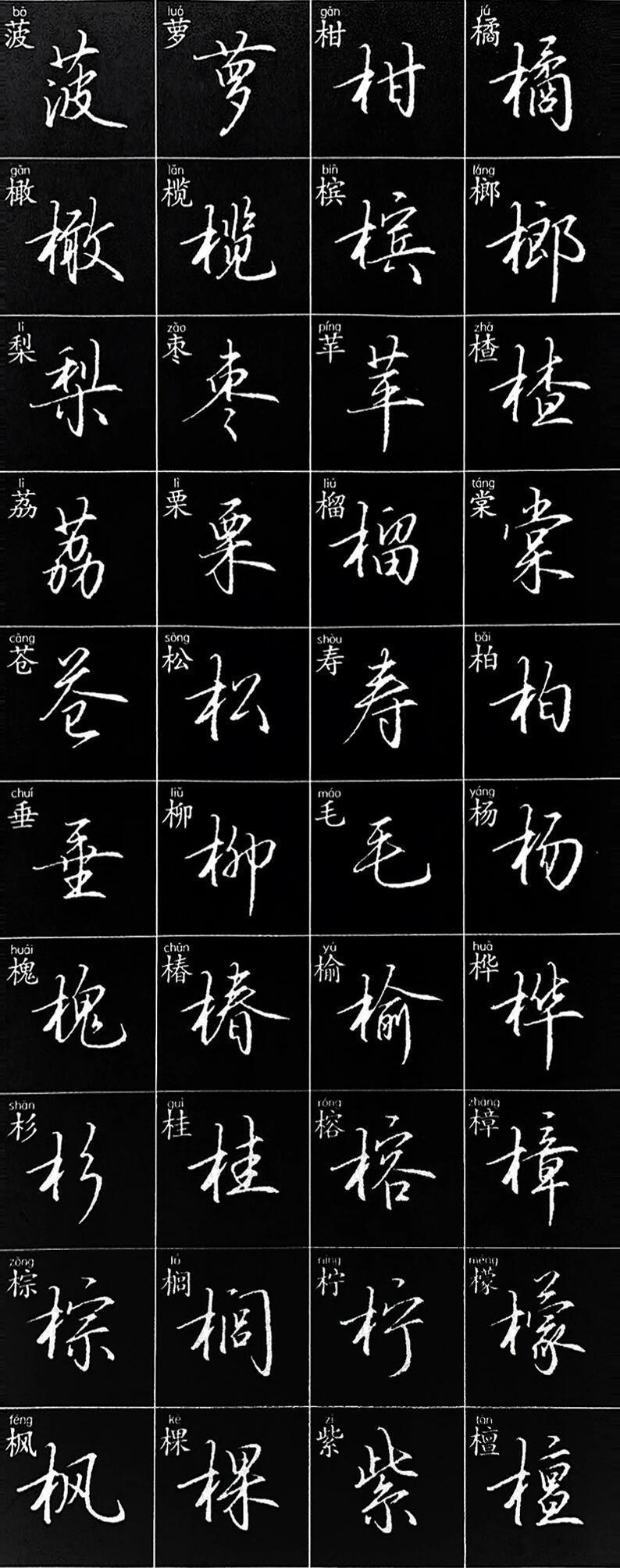 练字想要日常书写出效果，首选这种实用行楷范字。字形流畅，连带克制不潦草，自带拼音