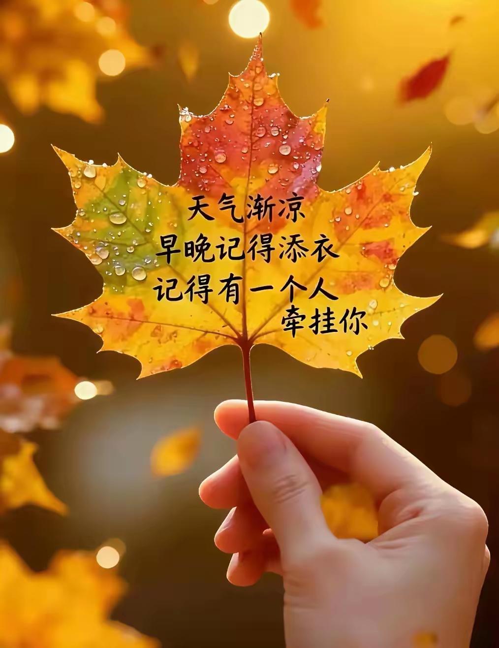 寒气渐至，请记得添衣。莫让风度盖过了温度。赶快穿上温暖的秋衣。护好膝盖，套
