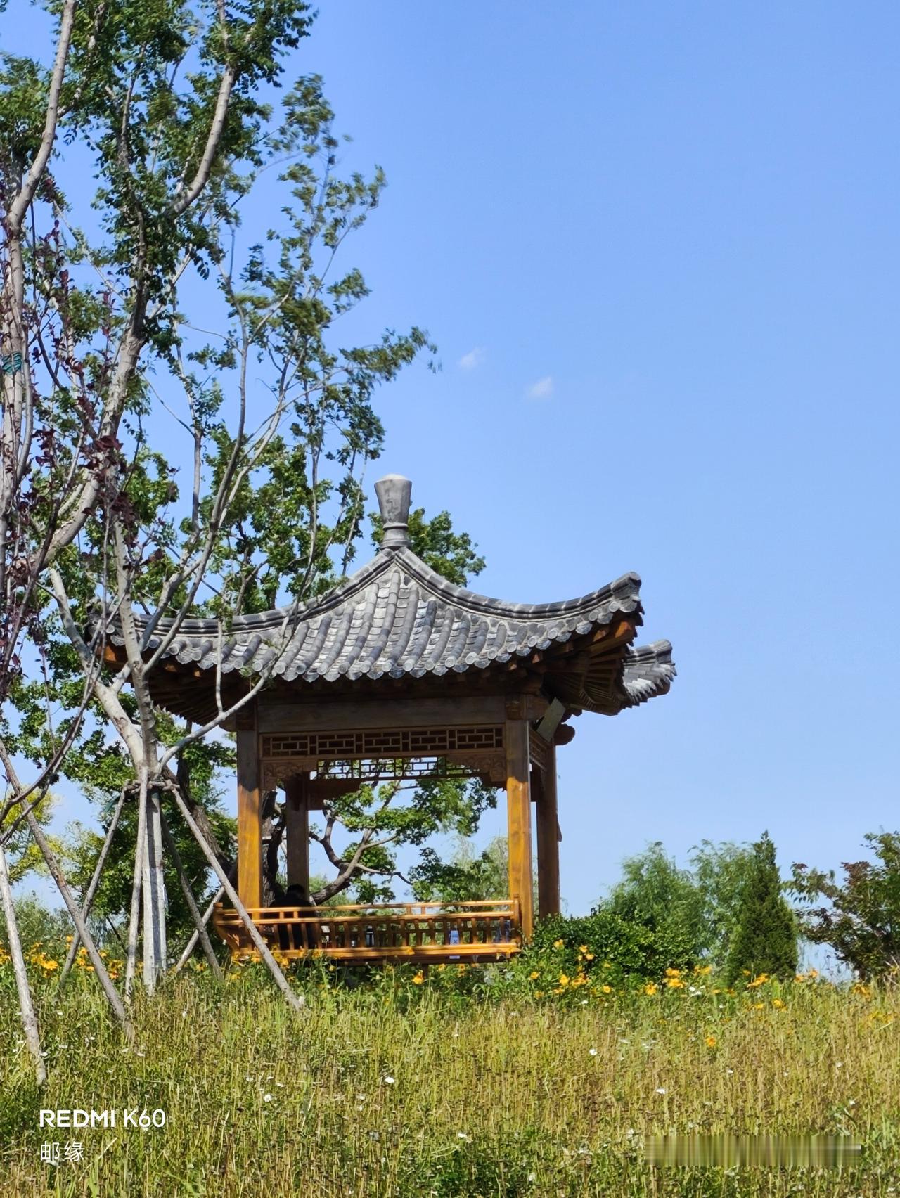 白泉公园的会议亭是个宝藏地。白泉生态景区免费又好逛，距济南东站不到2公里，202