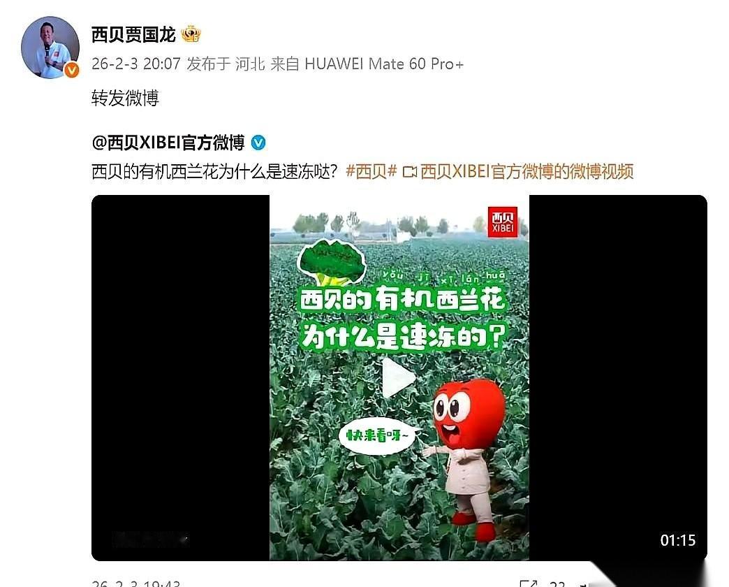 红杉资本的沈南鹏，当年为什么饭桌上聊了一半，就再也不提投西贝的事了？贾国龙最近