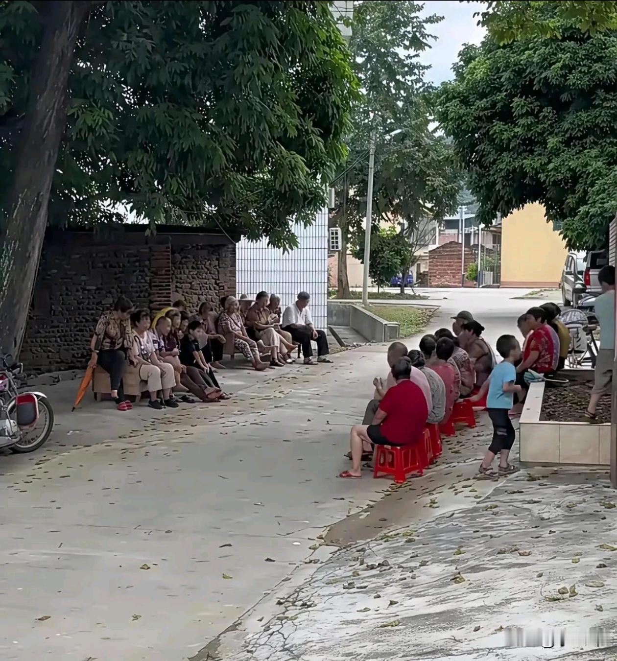 提前回村过年遇到这排该怎么办？