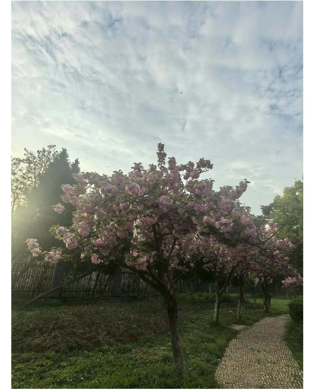 这个消息既助力二八，又振奋人心。上官正义传来的消息：叶某被判无期徒刑剥夺政治权