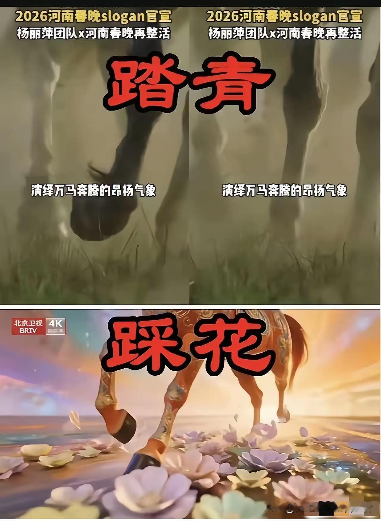 离谱！河南卫视“万马踏青”无故下架，北京卫视“马踏花”却跟风，这波操作看不懂！