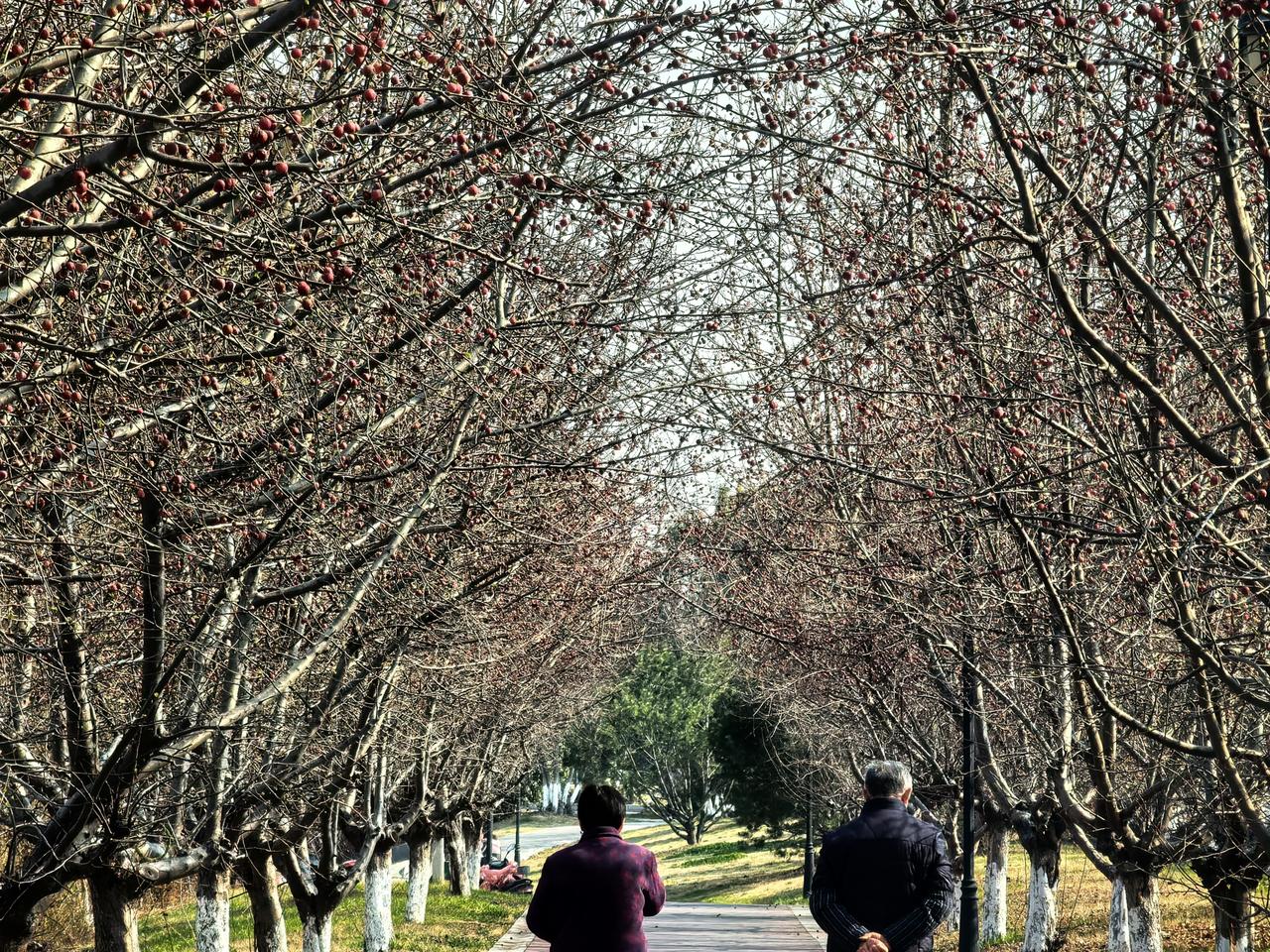 男人出轨了被发现了，闹到后面各种原因没有分道扬镳，最后输的是谁？剖析出轨原因