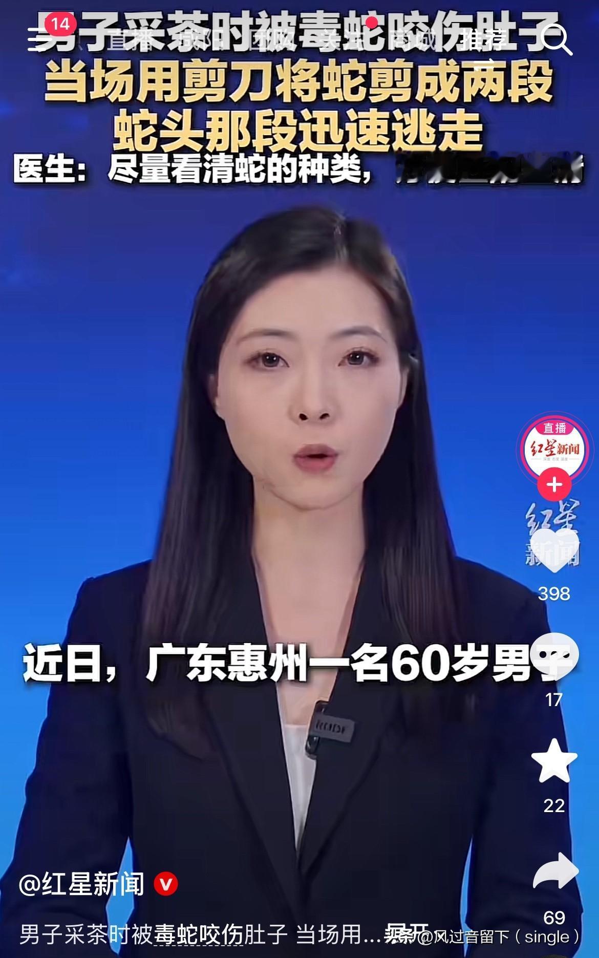 蛇成两半了都能跑了！近日，广东惠州一个60岁的男的上山正在采茶，突然一条竹叶青