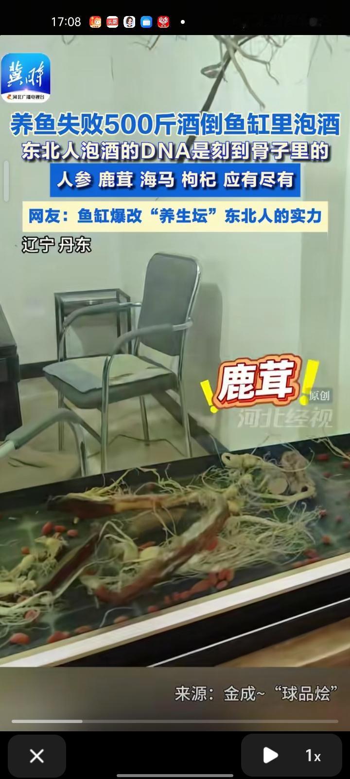 10月3日,丹东市宽甸县。东北人泡酒的DNA是刻在骨子里的,网友发视频称,养鱼失