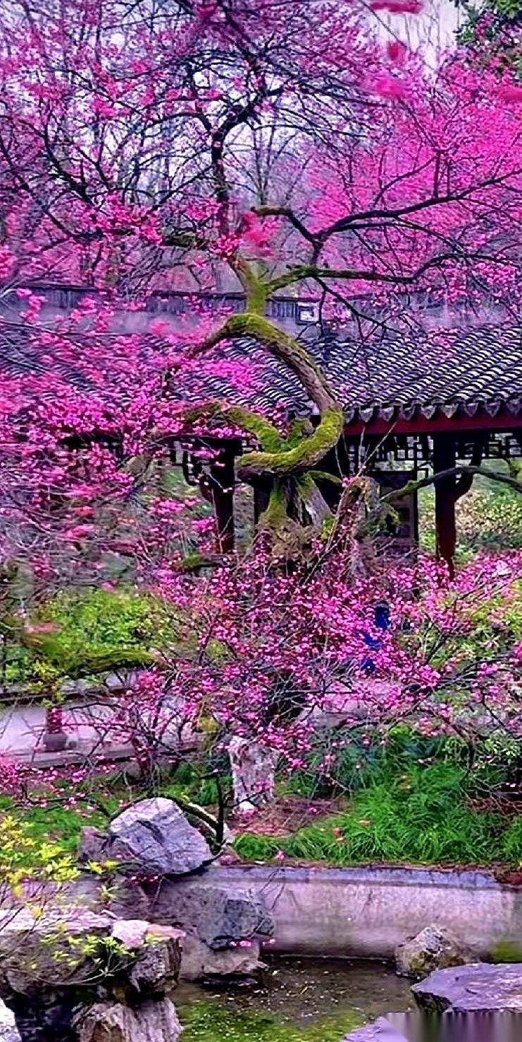 手机嗡地一响，是老公的亲弟弟，劈头就问：“嫂子，方便语音吗？”我还没来得及客套