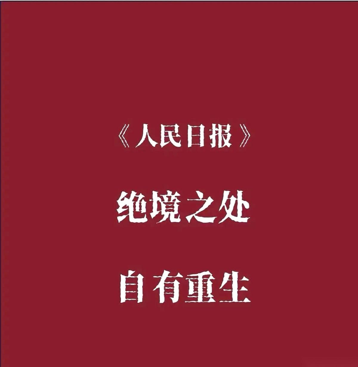 市场一片惨绿的时候，总有那么一拨人，眼睛里是放光的。他们不是在祈祷，而是在低吼