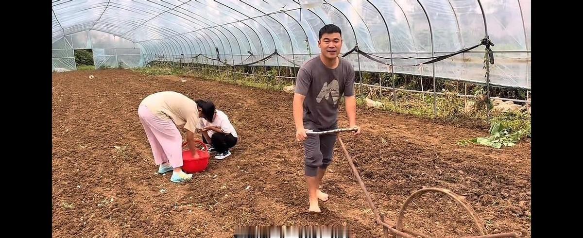 “豫北阿杜”的老婆李佳，终于回家了。带着三个孩子，说是回来帮阿杜种蒜，因为看他