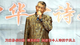 《岳阳楼记》作者范仲淹--赵忠祥老师朗诵经典