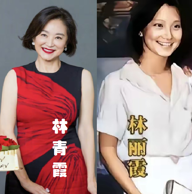 姐姐漂亮，妹妹也美，演艺圈内的这些明星姐妹，颜值都很高，最好命的是鲍蕾和妹妹鲍莉