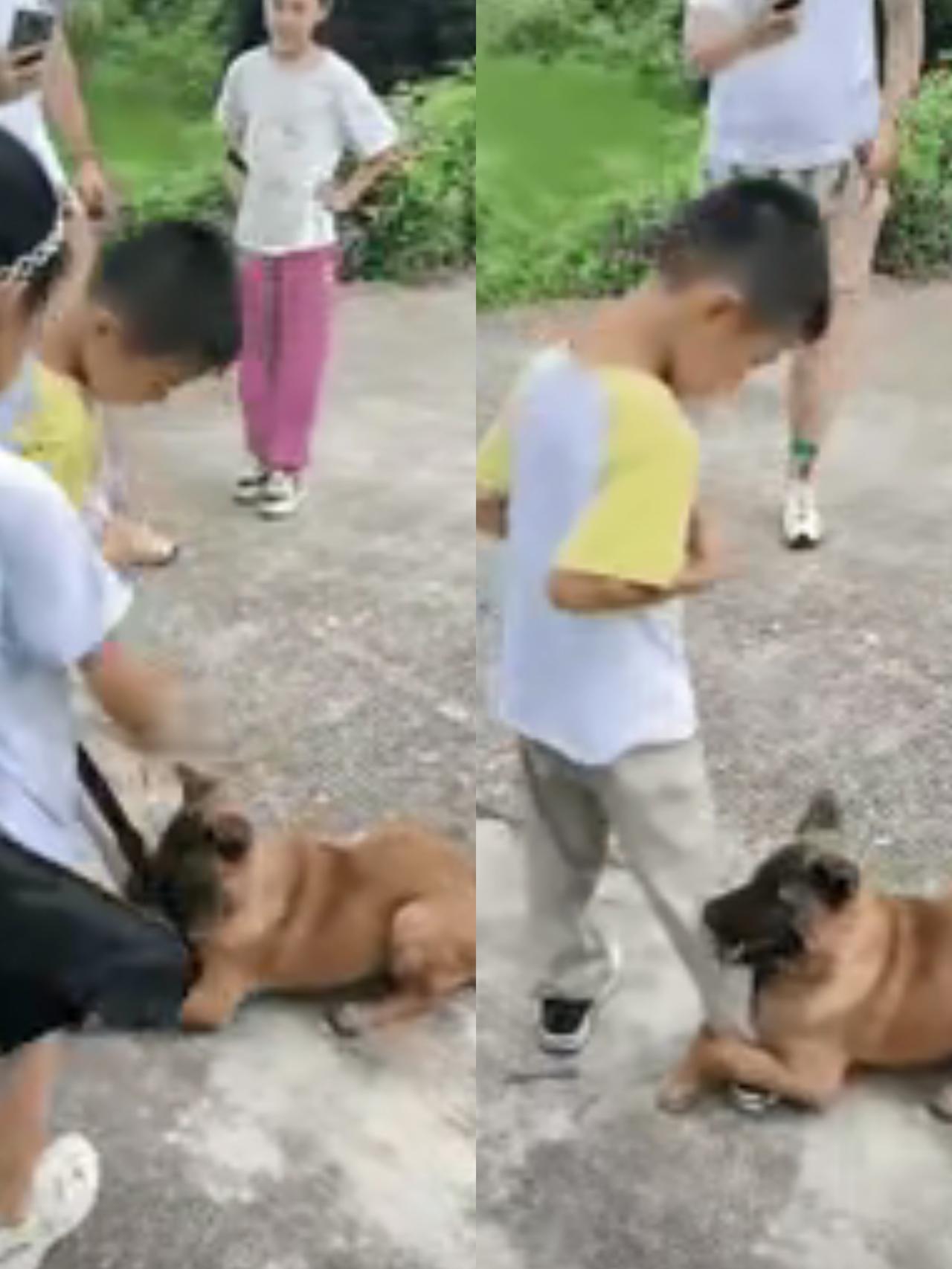 一家人外出旅游，小男孩随手给饿得缩成一团的流浪狗递了根火腿肠，哪成想小狗吃完火腿