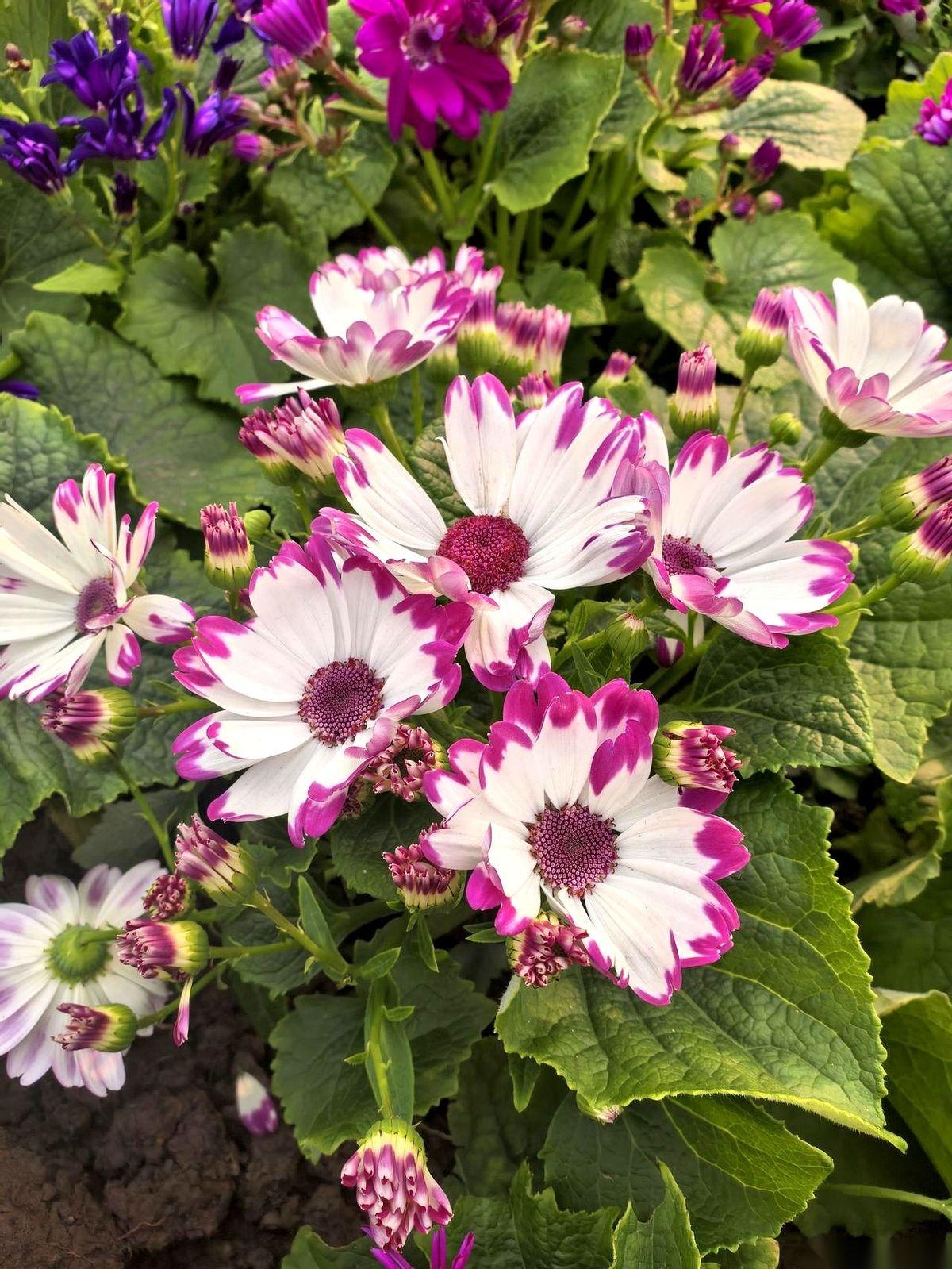 我活了三十几年，被一个17岁的小姑娘，上了一堂最狠的课。就在昨晚，黑漆漆的小区