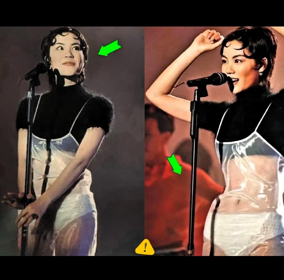 王菲这套衣服美吗？啥叫美：作为女人要有女人样，面带微笑，温柔，谦和，有女人味才