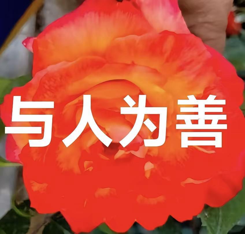 小似善心善为！为了伙点赞！！[呲牙笑][呲牙笑][呲牙笑][玫瑰][玫瑰][赞][
